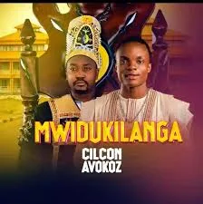 Cilicon Avokoz